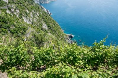cinque terre experience italie