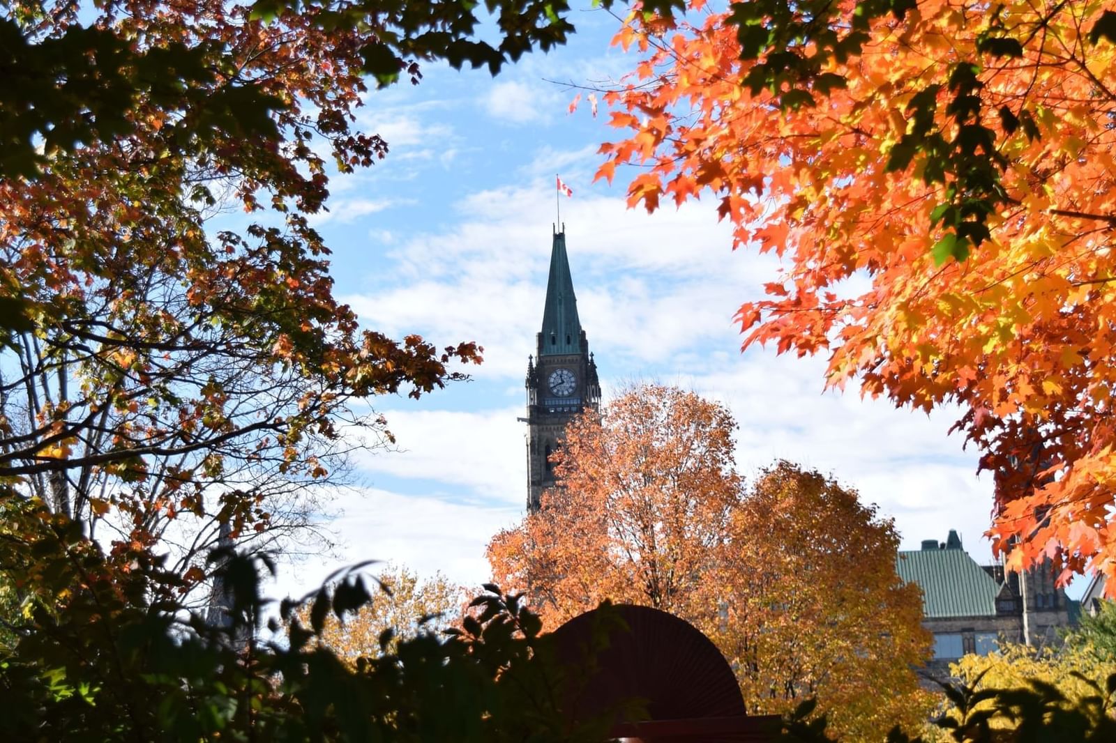 View of a clock tower through trees near ReStays Ottawa