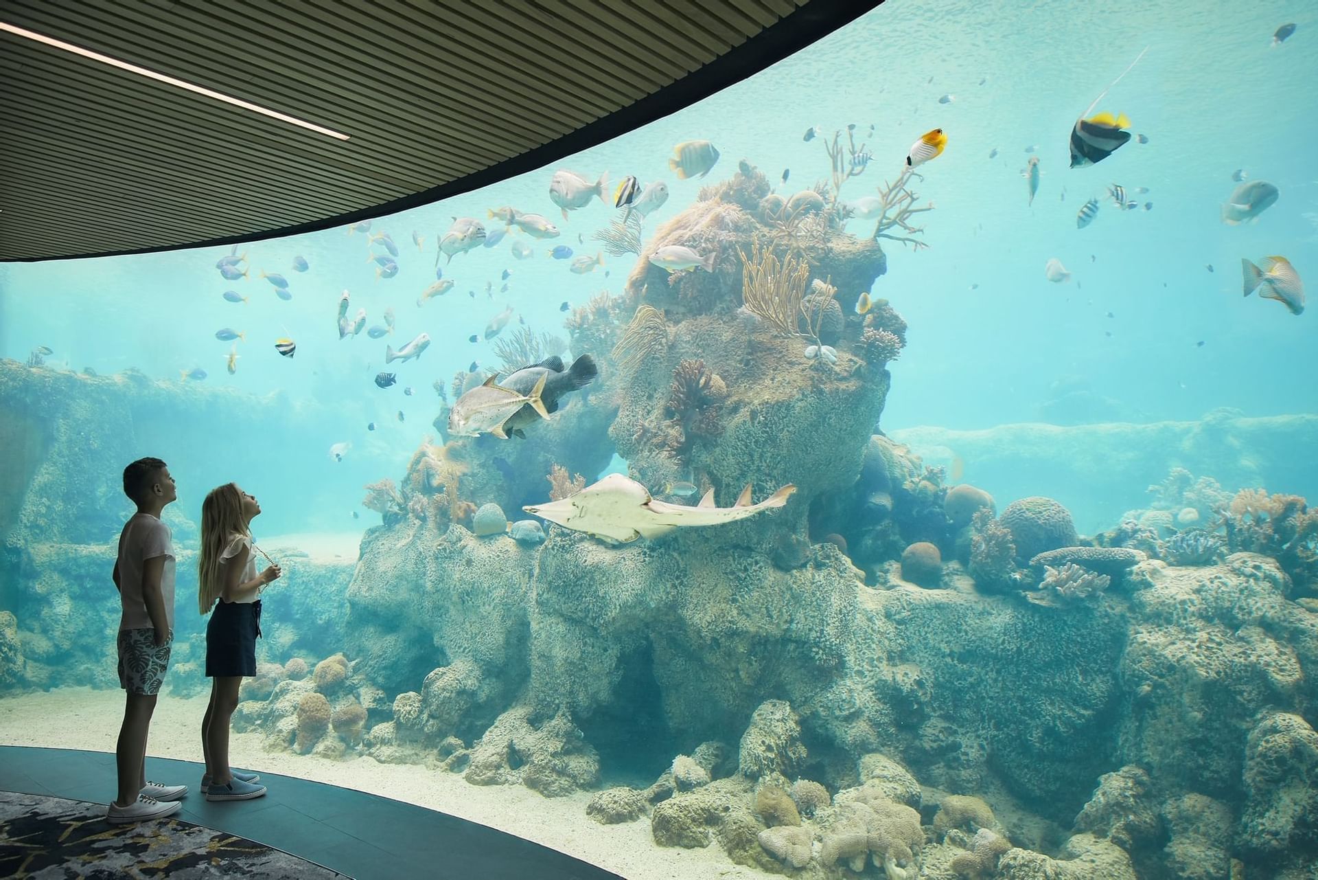 Kids enjoying seeing fish at an aquarium at Daydream Island