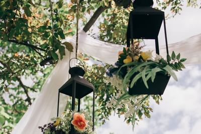 Lanterns with flowers hanging from tree branch near drapes at Spencer Hotel, ideal outdoor wedding venues London Ontario