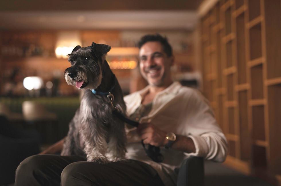 Dog with a collar sitting on a person's lap in a cozy room at Live Aqua Resorts and Residence Club