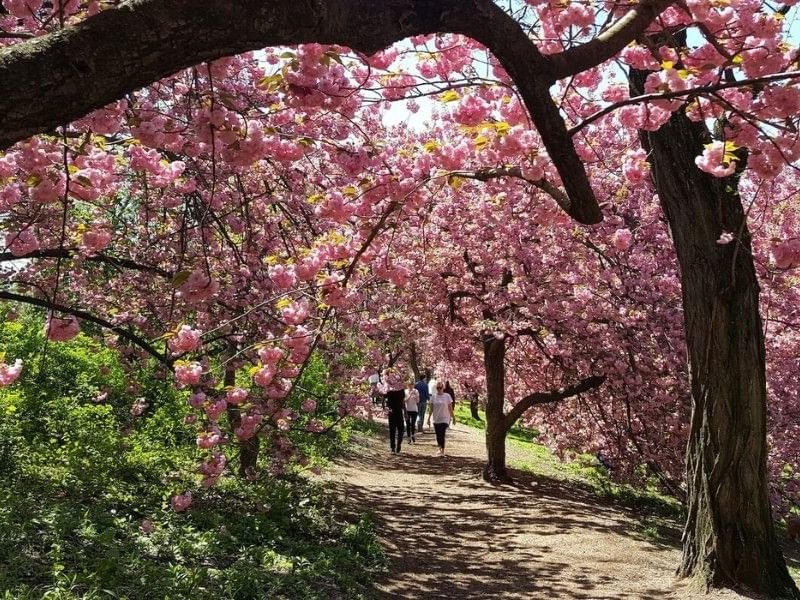 Floral Events Happening in NYC