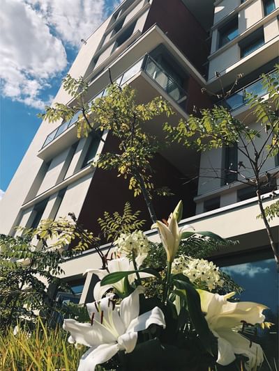 Modern building with balconies and trees, under a partly cloudy sky, with white lilies in foreground.