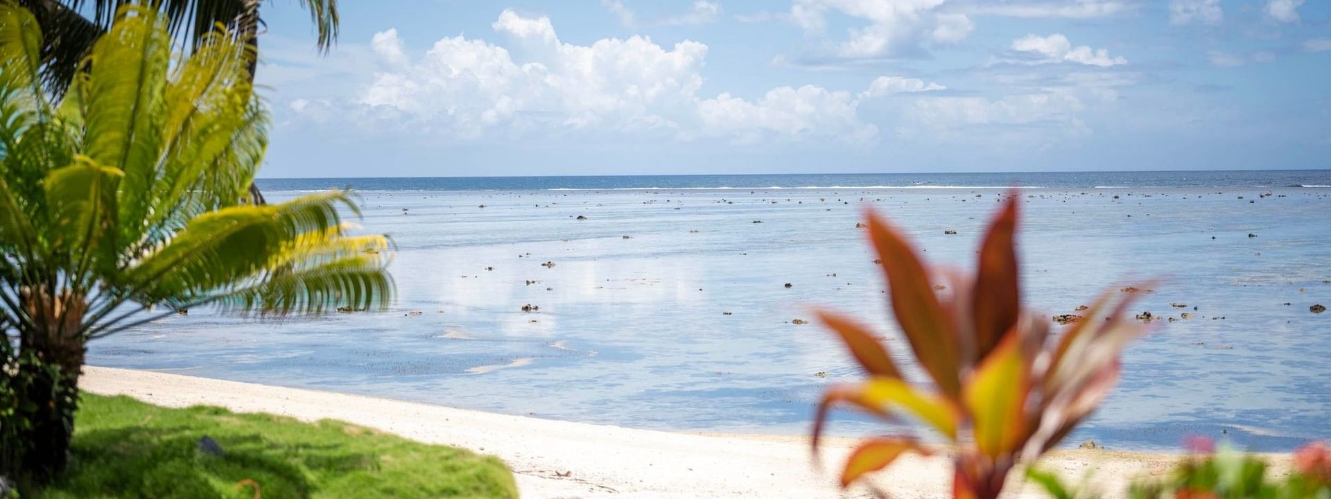 Lush greenery and sand beach with ocean view at Warwick Fiji Resort and Spa, Korolevu