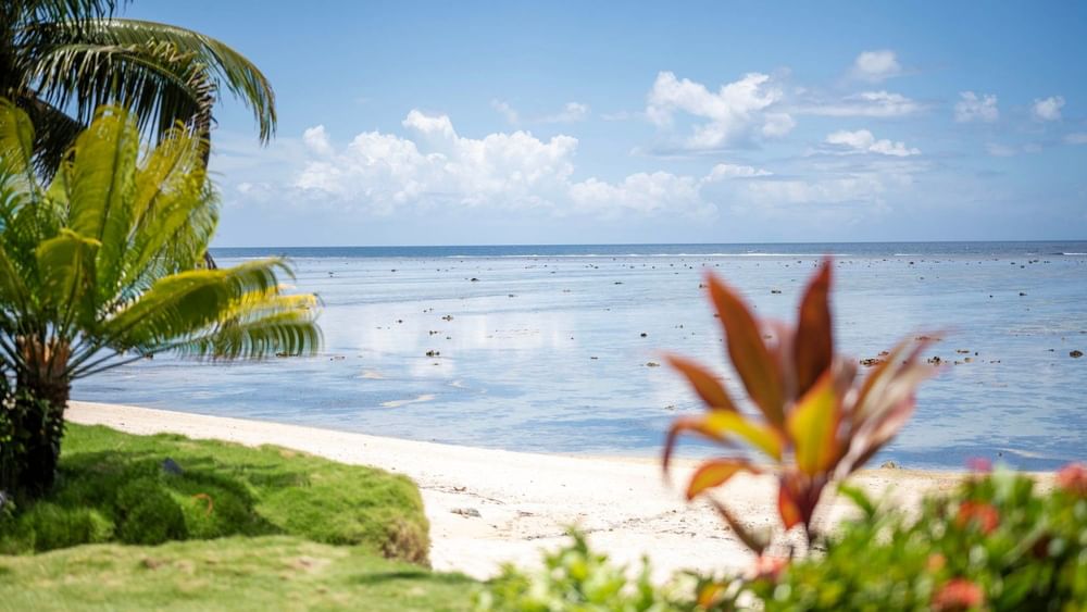 Lush greenery and sand beach with ocean view at Warwick Fiji Resort and Spa, Korolevu.