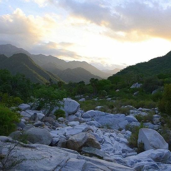 sierralaguna_standard
