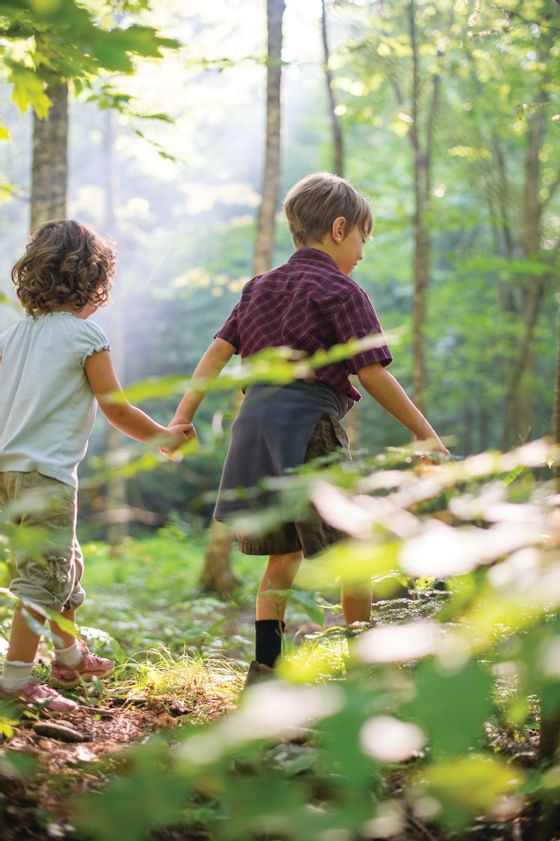 Two kids walking in the forest near Topnotch Stowe Resort