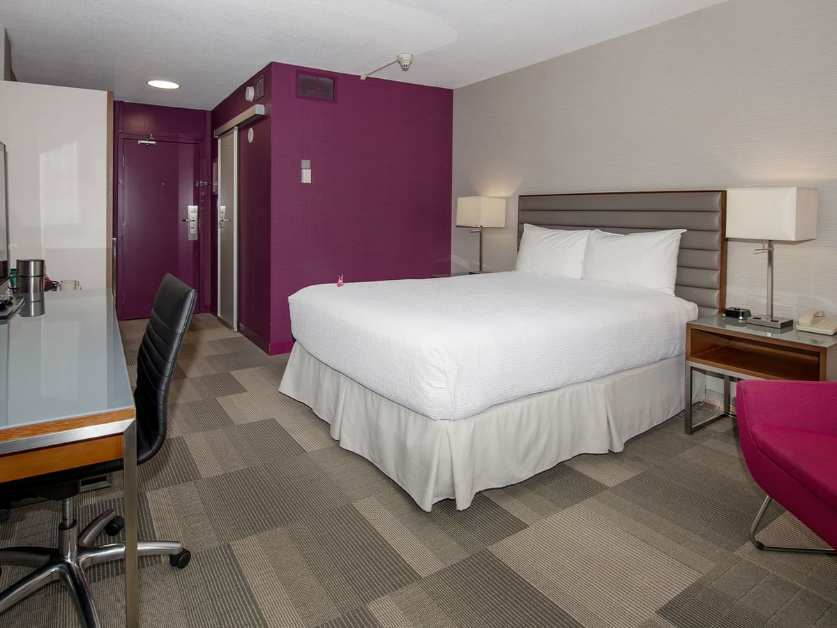 Hotel room with a bed, desk with chair, pink chair, and purple accent wall.