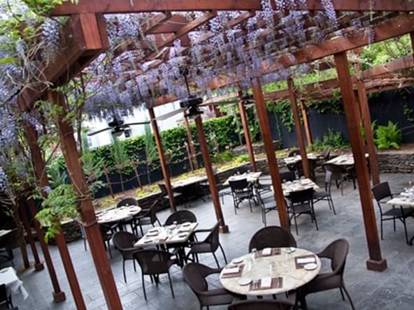 Dining area of a Brunch Restaurant near New Haven Hotel