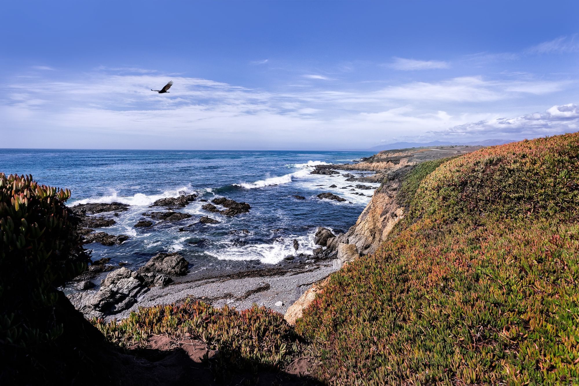 California Highway 1 coastal view