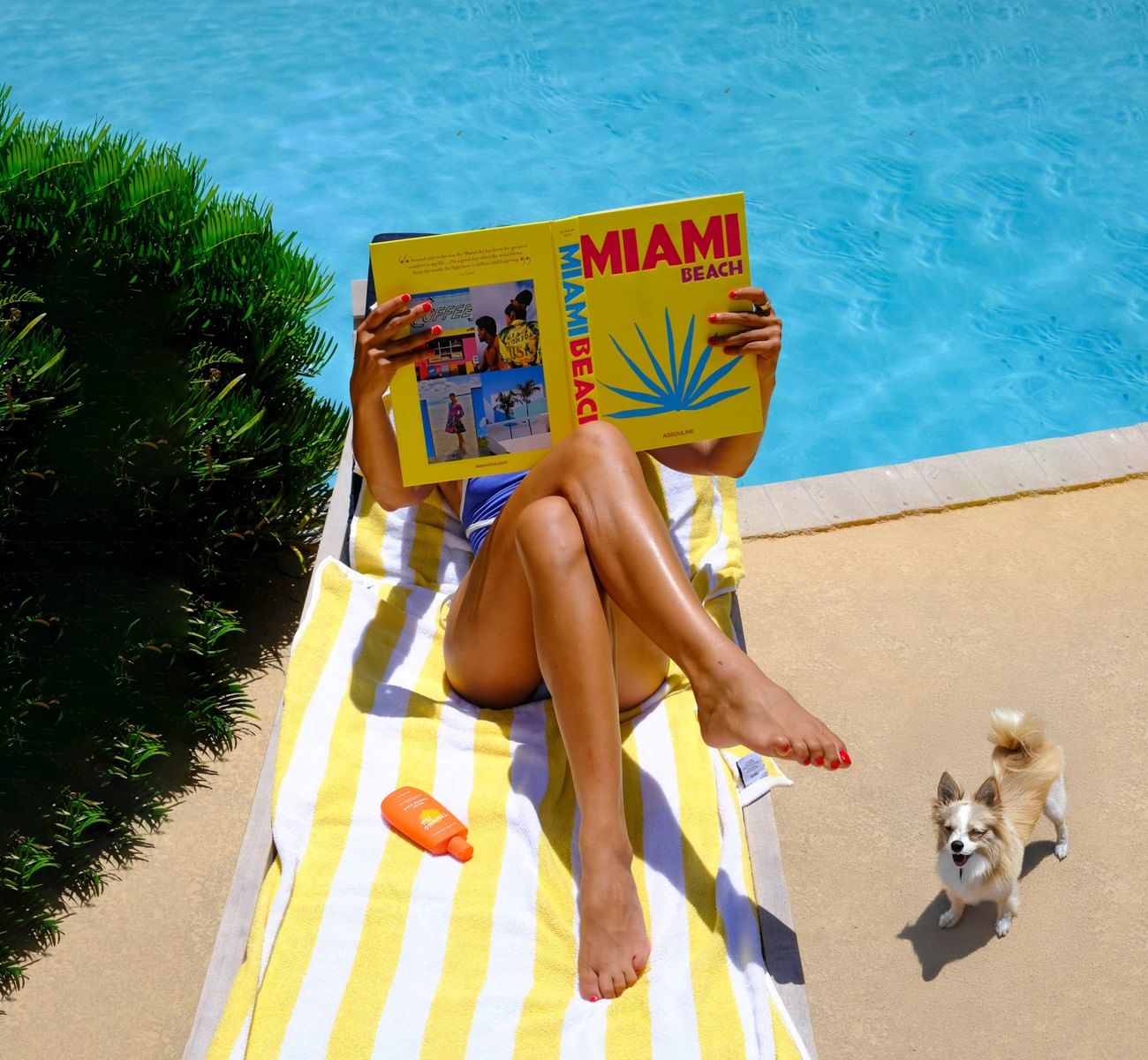 A woman in a blue bikini reading a yellow magazine labeled 'MIAMI BEACH' while lying on a yellow and white striped towel on a lounge chair by a pool, accompanied by a small dog.