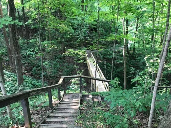 A stairway in Clegg Memorial Gardens near The Whittaker Inn