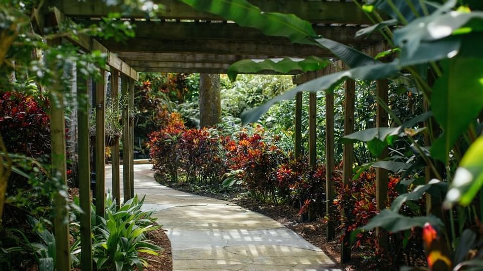 Walking pathway of Sunken Garden near Legacy Vacation Resorts