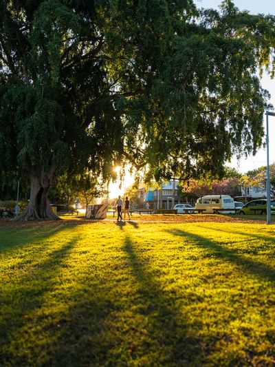 Sunset in a park with tree shadows stretching across the grass at West End near Sofitel Brisbane Central