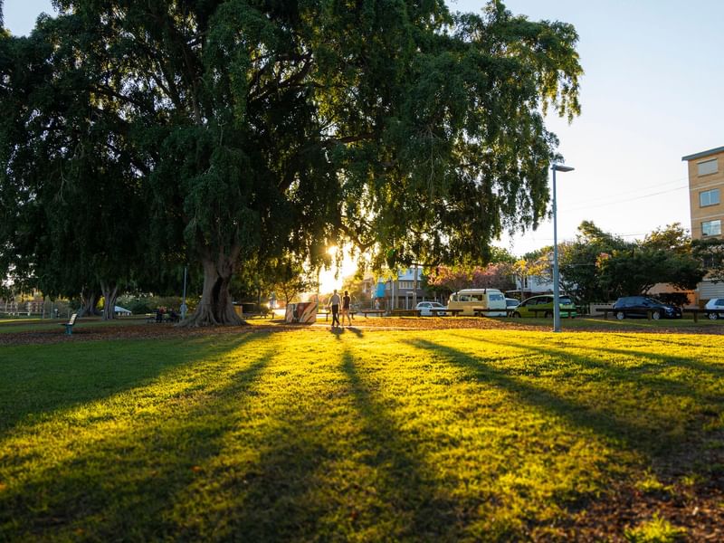 Sunset in a park with tree shadows stretching across the grass at West End near Sofitel Brisbane Central