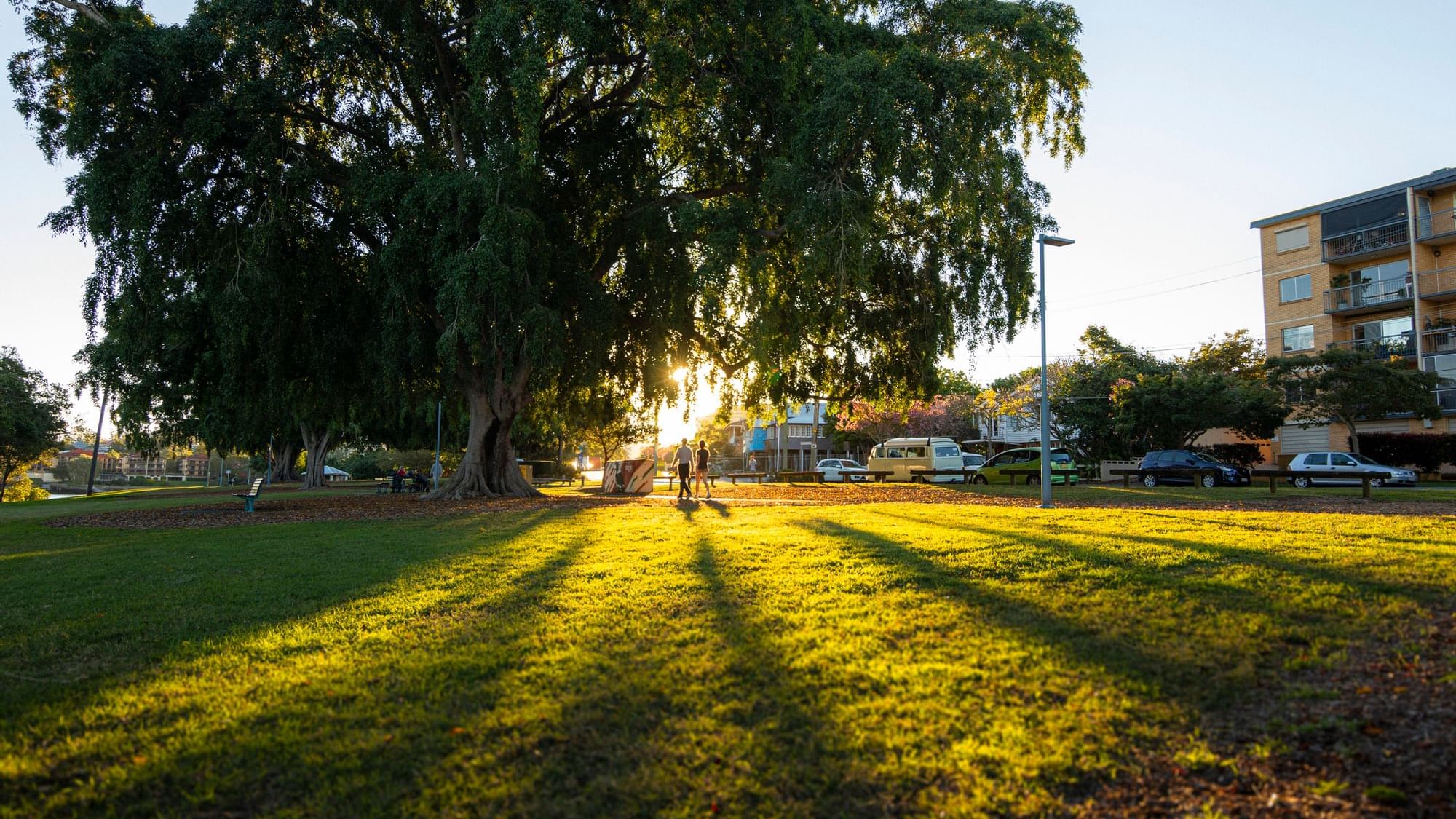 Sunset in a park with tree shadows stretching across the grass at West End near Sofitel Brisbane Central