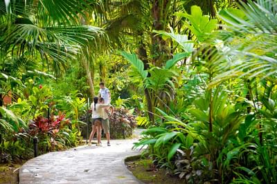 Beautiful family In forest near Rio Celeste Hideaway