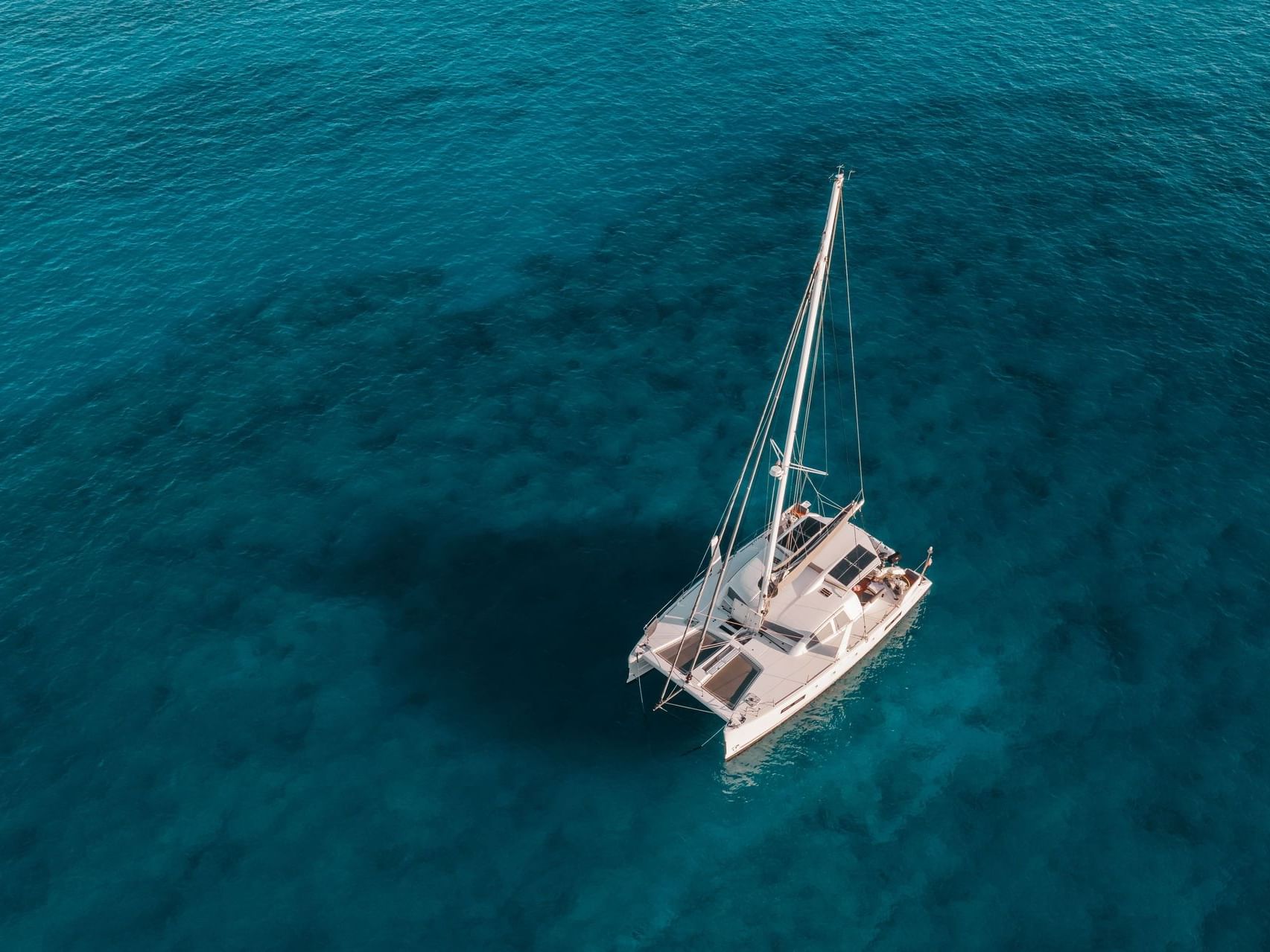 catamaran in ocean