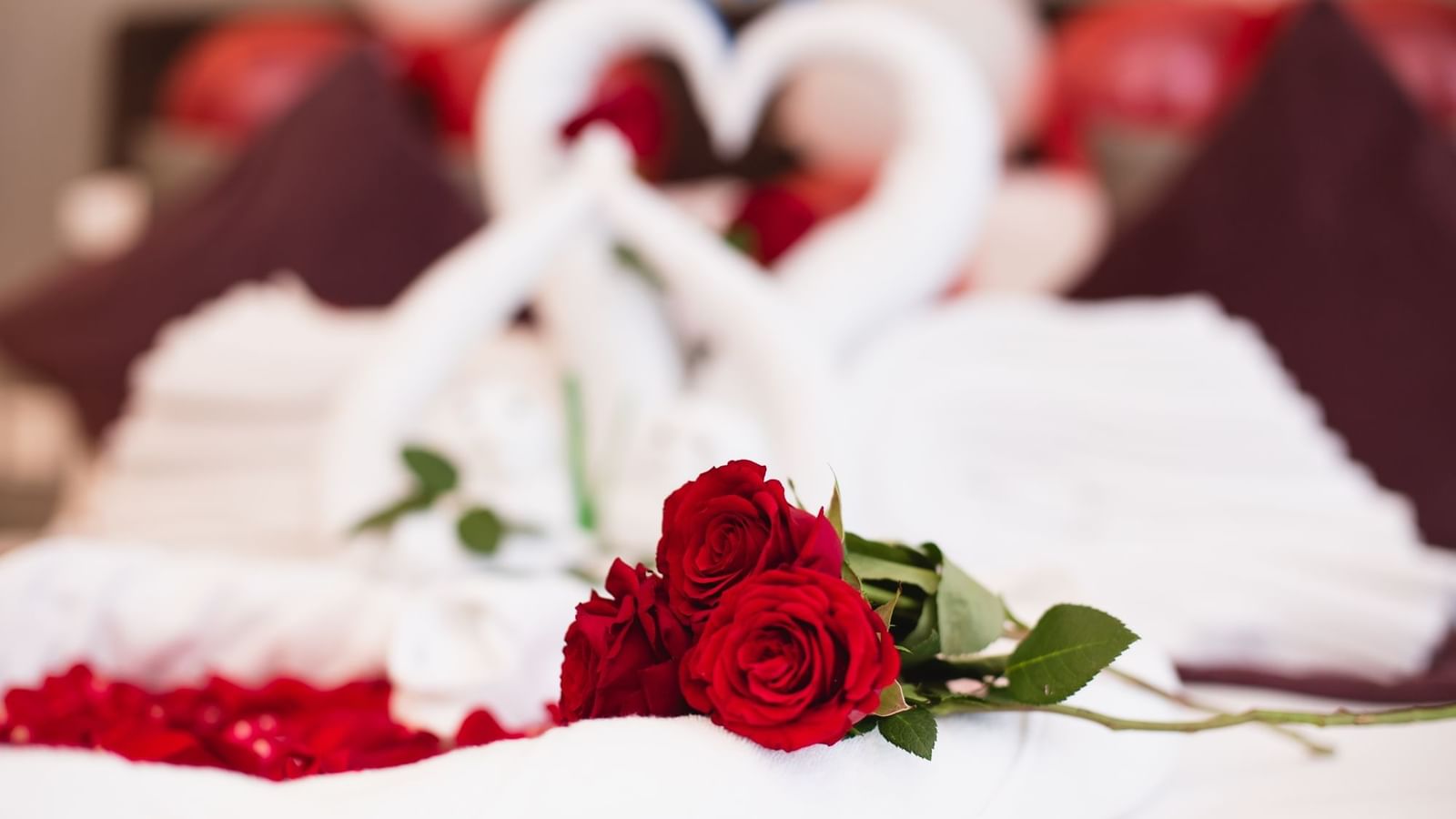 Close up of red roses and heart-shaped towel swans on a luxury white bed at DAMAC Maison Aykon City