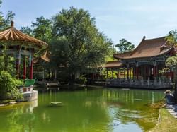 Waterfront in the Chinese Garden near Sternen Oerlikon