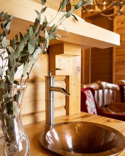 Brass sink & faucet in kitchenette with green leaves in vase in King Premiere Log Cabin at Retro Suites Hotel