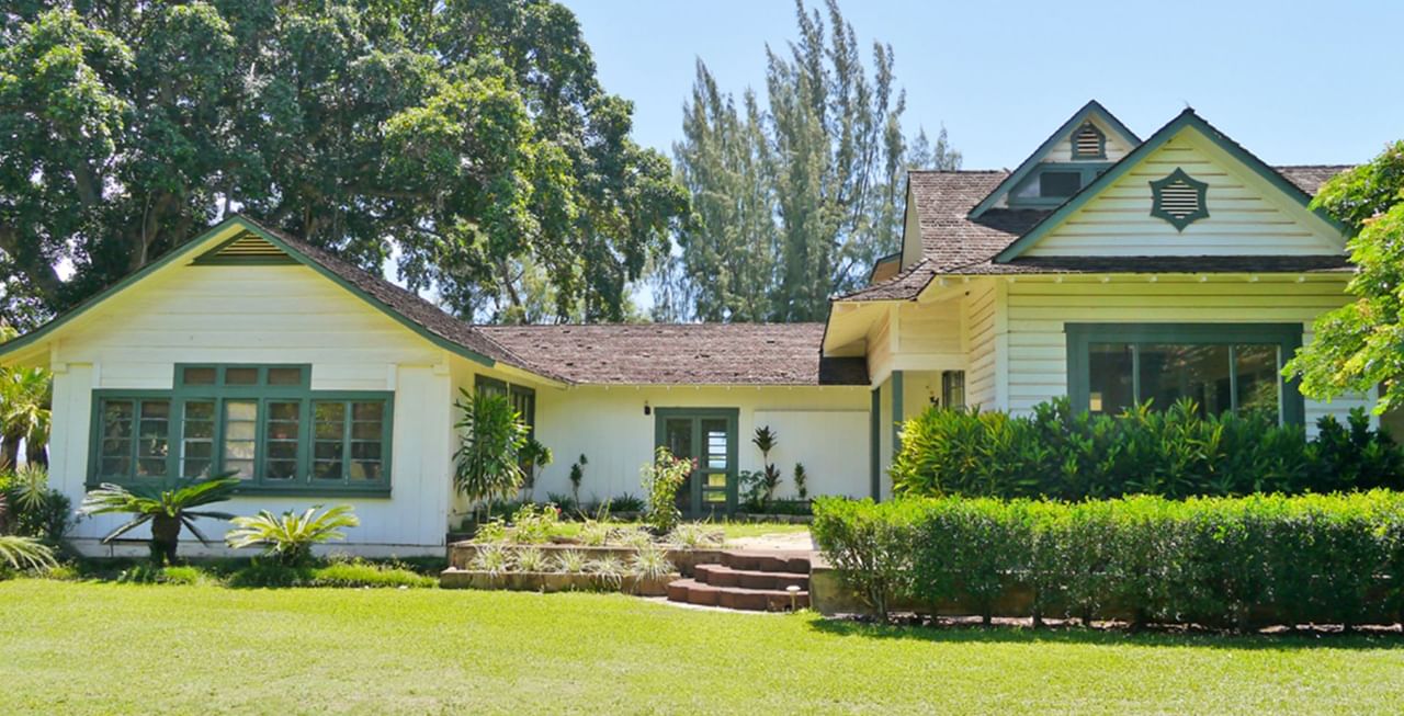 Cottage surrounded by trees