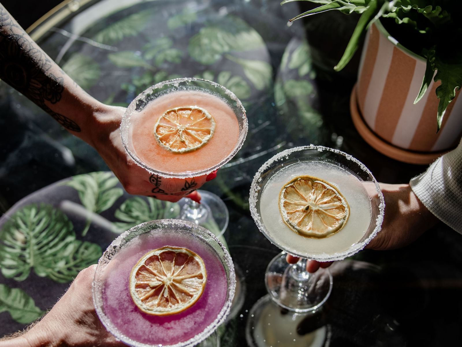 GROW Plant Bar | Things To Do In Wichita