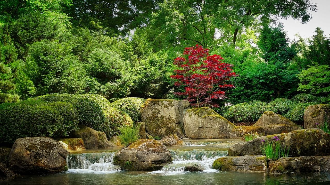 View of some gardens and a pond