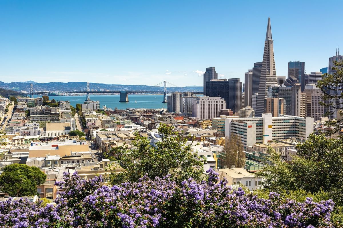 City skyline by a tall pyramid building under a blue sky near purple bushes near Warwick San Francisco