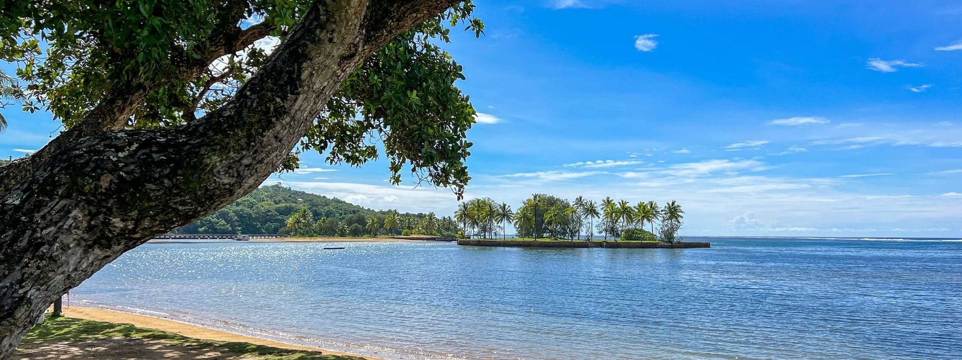 Beach view with lush greenery and clear blue waters at The Naviti Resort in Korolevu, Fiji
