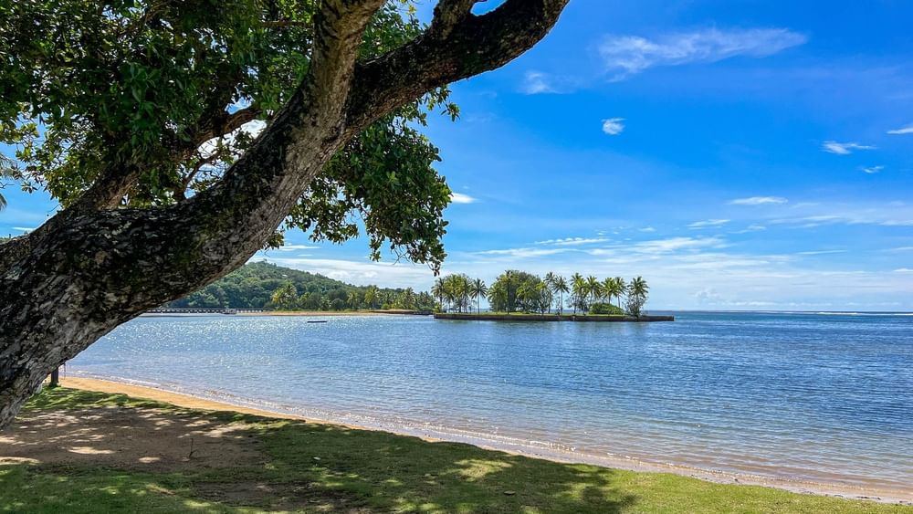 Beach view with lush greenery and clear blue waters at The Naviti Resort in Korolevu, Fiji.
