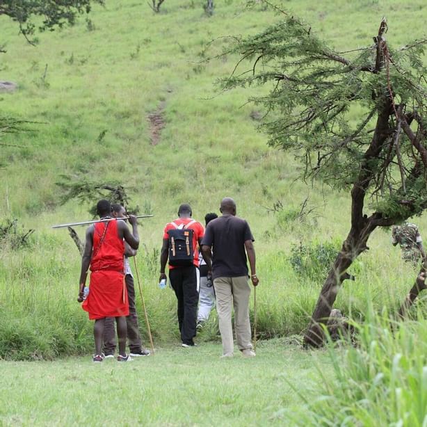 Visitors Hiking with locals at Mara Serena Safari Lodge