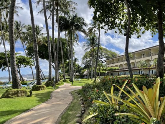 Jardín en Tamarindo Diria Beach Resort