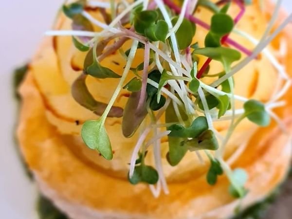 Tart dish in Calabash Beach Bistro at Bougainvillea Barbados