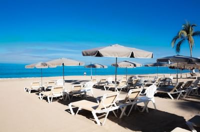 Beach with many white lounge chairs, umbrellas, and a clear blue ocean in the background.