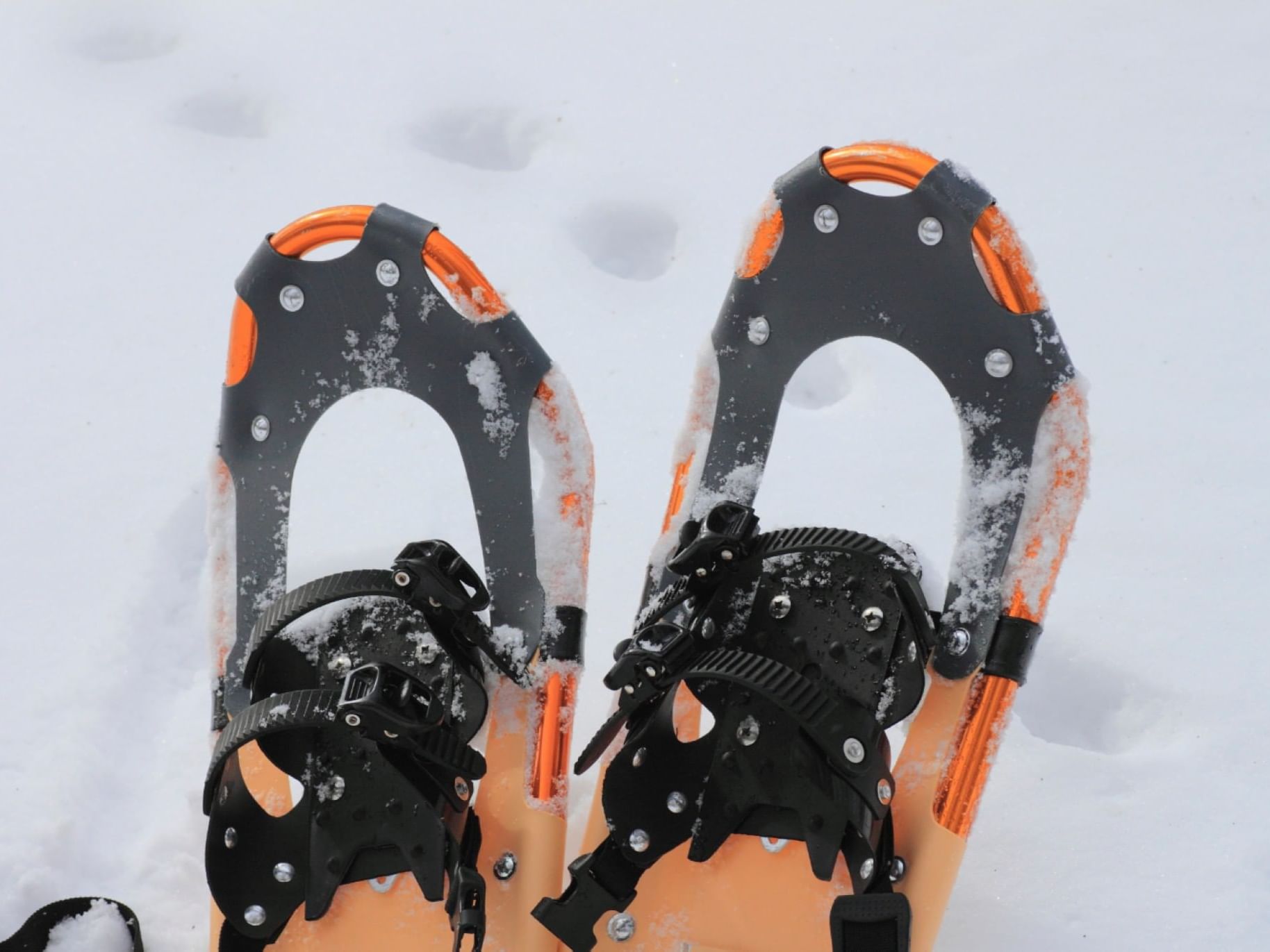 Close-up of Snowshoe pair on the snow at The Bethel Inn Resort & Suites