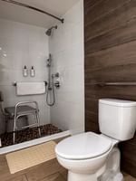 Roll-in shower by a shower chair under a grab bar near a toilet in Island View Accessible at Warwick Paradise Island Bahamas