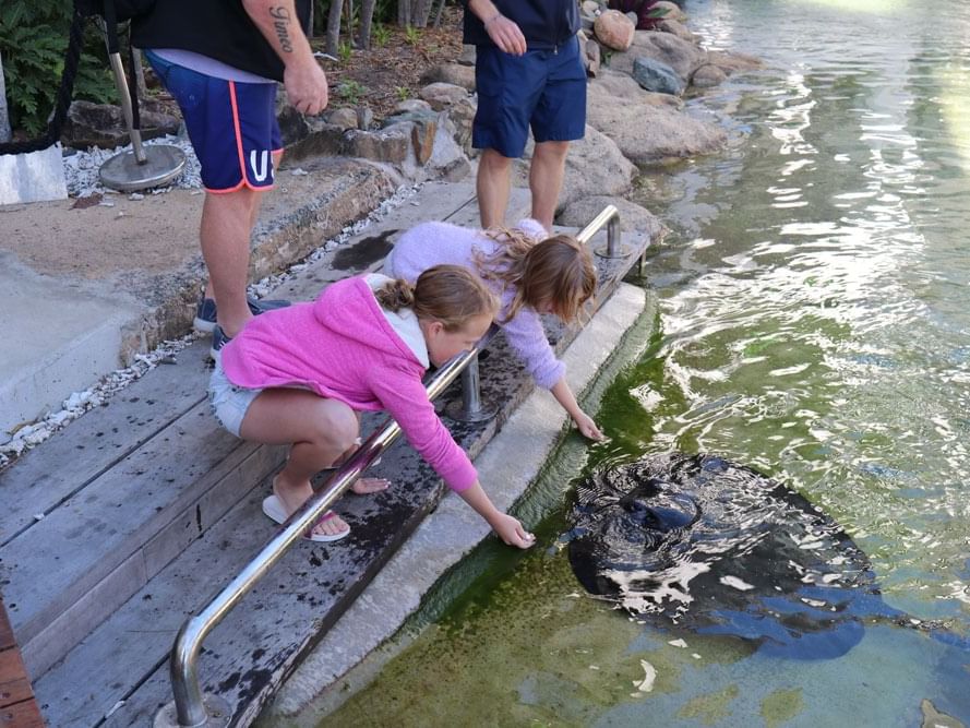 Close up on Kids feeding fish at Daydream Island Resort