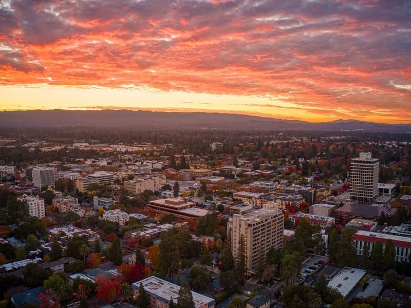 Palo Alto under the summer sun