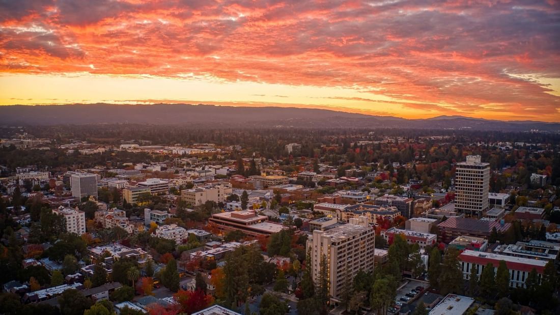 Palo Alto under the summer sun
