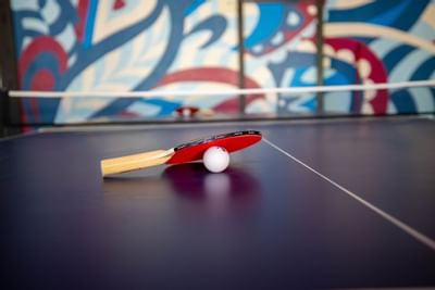 paddle ball racket and ball