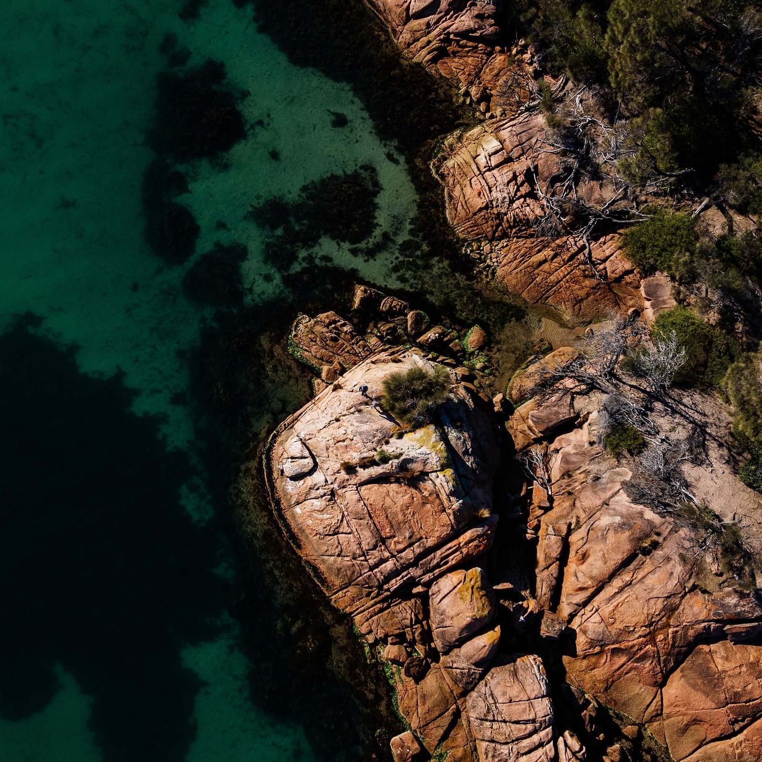 Sky view of the beach by the mountains near the Freycinet Lodge