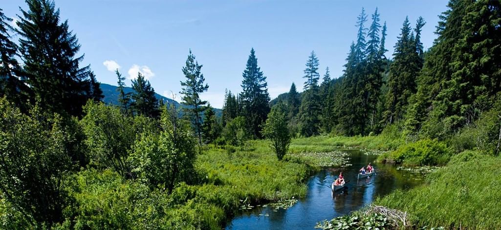 Canoeing through River of Golden Dreams with lily pads in Whistler