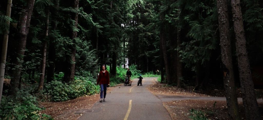 Visitors walking and cycling along a peaceful forest trail surrounded by tall evergreens in Whistler.