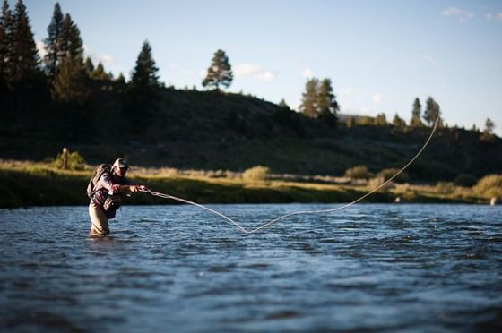 Close up of a man fly fishing in the streams near Stein Lodge