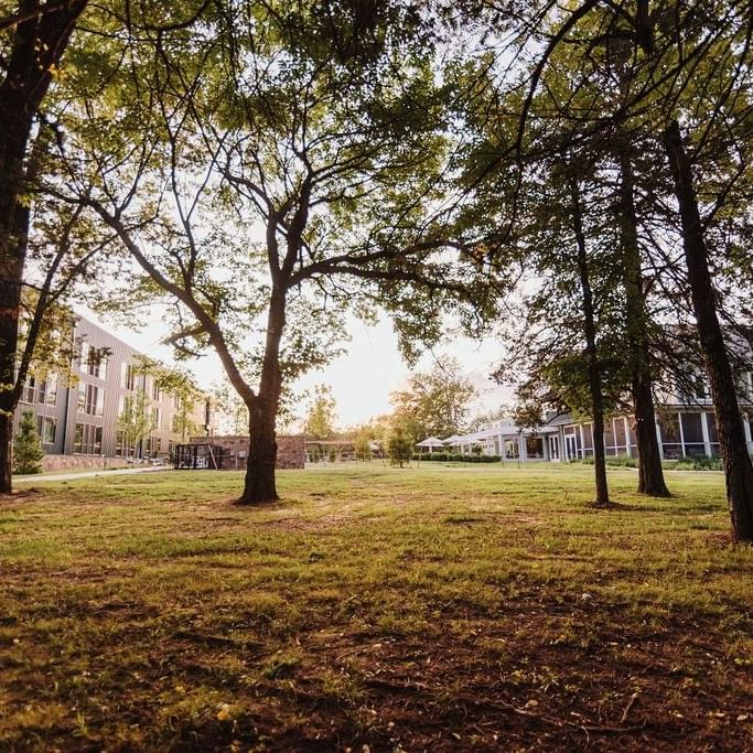 Lush green park with trees and distant buildings under clear sky for Field Notes.