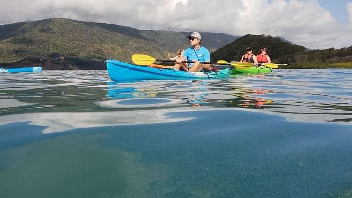 Kayaking near Pullman Palm Cove Sea Temple Resort