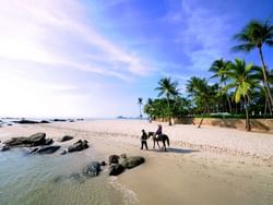 Horse riding in Hua Hin beach near Hop Inn Hotel