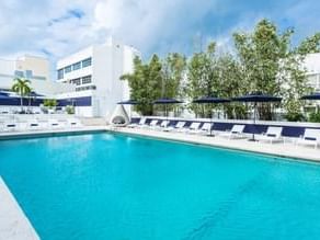 Outdoor pool area with sun lounges at Albion Miami Beach