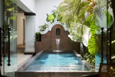 Lush outdoor courtyard with a fountain, swimming pool, and tropical plants at Singular Signature Residences
